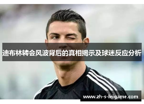 迪布林转会风波背后的真相揭示及球迷反应分析