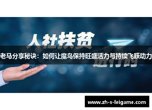 老马分享秘诀：如何让魔鸟保持旺盛活力与持续飞跃动力