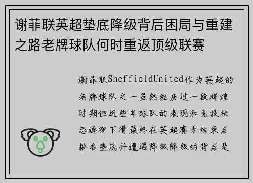 谢菲联英超垫底降级背后困局与重建之路老牌球队何时重返顶级联赛